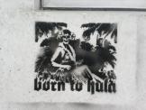 BORN TO HULA - detail view (opens popup window)