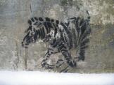 another zebra - detail view (opens popup window)