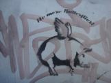 pig - detail view (opens popup window)
